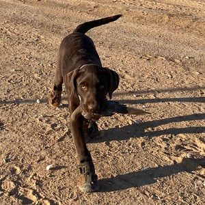 Meet your Posher, Jonathon